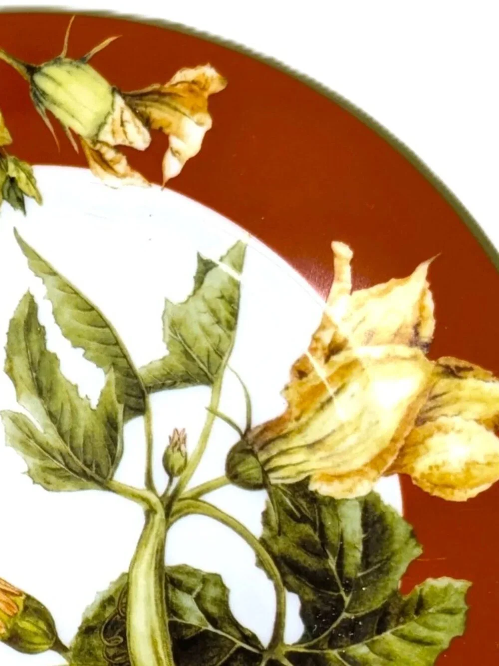 Williams Sonoma BOTANICAL PUMPKIN Salad Plates Set 5 Dark Red Fall 8 1/2